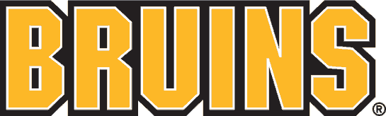 Boston Bruins 1995-2007 Wordmark Logo iron on transfers for T-shirts